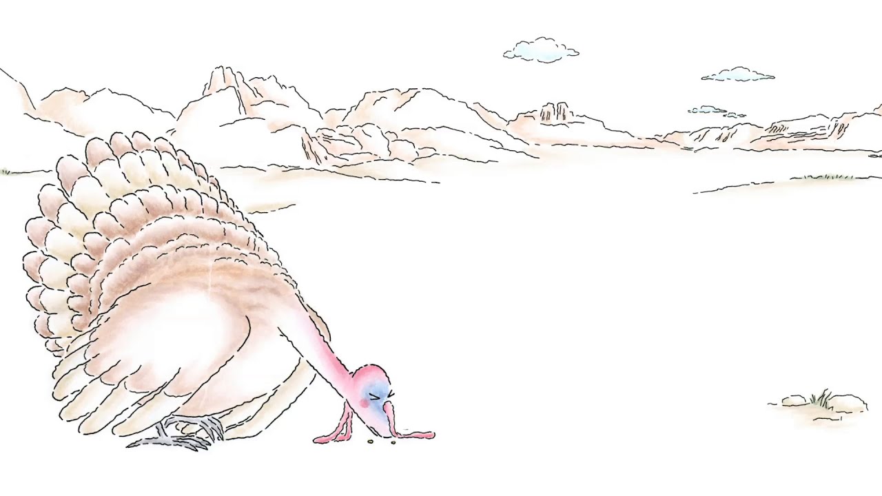 Red Bull Gives You Wiiings — Turkey and Roadrunner - Red Bull (YouTube video ad)