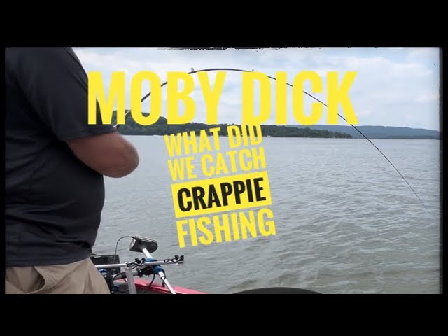 That’s not a Crappie #crappiefishing #crappie #lake #guntersville #fish