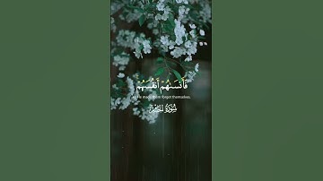 #قران_كريم #المنشاوي #حالات_واتساب  - ولا تكونوا كالذين نسوا الله 🤍 من سورة الحشر 🤍