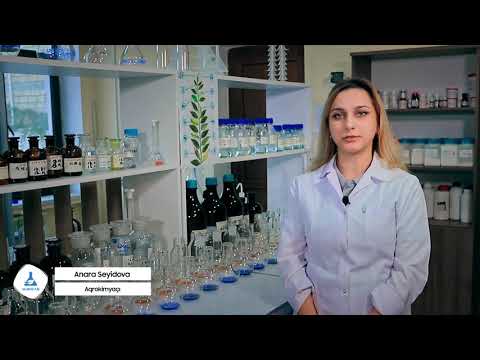 Video: Laboratoriya Nümunəsi