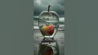 LAGU ACARA REMIX KURE KURE FEAT DOGWIL RMXR 2024(128kb).Mp3