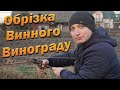 Обрізка технічного (винного) винограду весною.