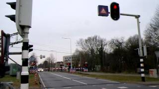Spoorwegovergang Leiden  Level   Railroad Crossing
