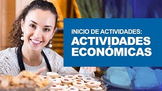 Inicio de actividades: Actividades económicas