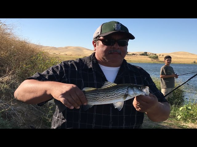 California Fishing Trip to Mendota, San Joaquin River, Los Banos