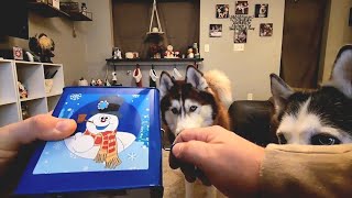 Jack In The Box Legend Of Frosty The Snowman Performs For Huskies