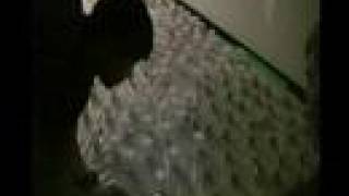 KAOL Senior Prank '08 (Short and Sweet)