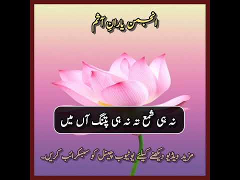 پوٹھوہاری شعر | شعر خوان جاوید جیدی #highlights - YouTube