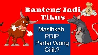 Banteng Jadi Tikus! Masihkah PDIP Jadi Partai Wong Cilik? ( @ajonews6369  )