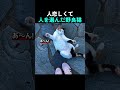 人恋しくて人を選んだ野良猫