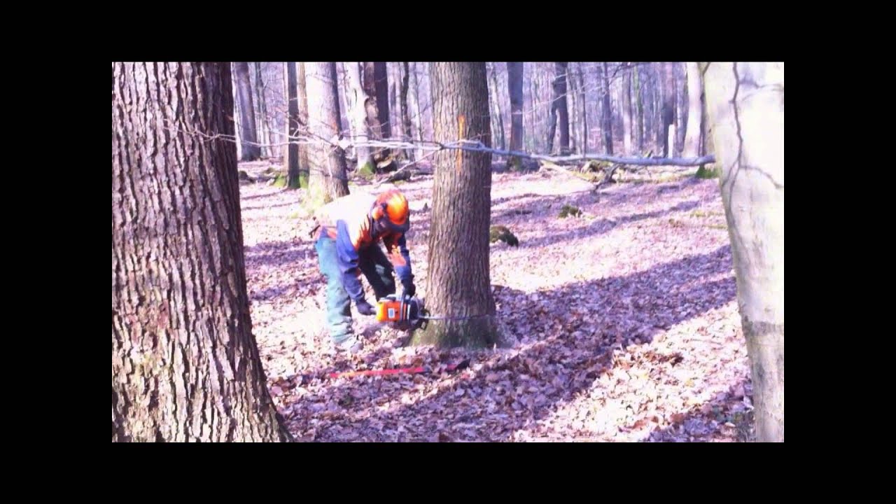 Technische Hilfe Technische Hilfe