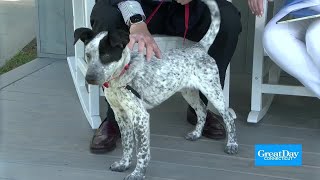Great Country Mutt Show returns this weekend
