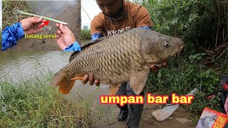 COBA PAKAI UMPAN KU MANCING IKAN MAS LIAR PASTI DAPAT BABON
