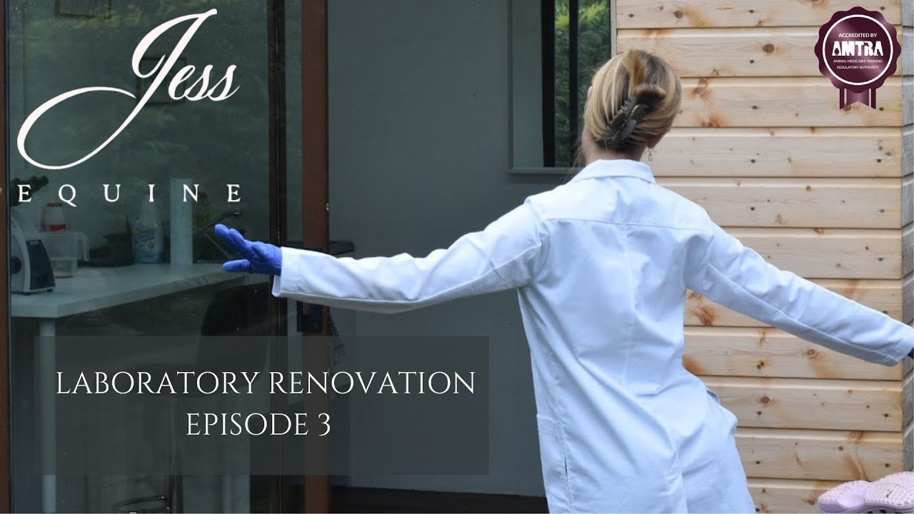 Episode 3, Jess Equine Laboratory Renovation series