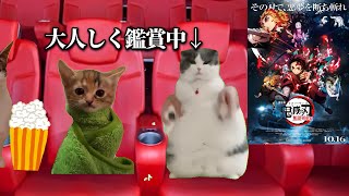 鬼滅の映画見にきた人の日常【猫ミーム】【猫マニ】