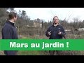 Que faire au jardin en mars 