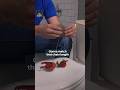 How to Replace a Toilet Flapper