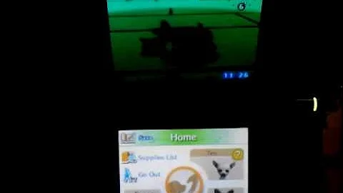 Nintendogs Chihuahua & Friends Episode 1