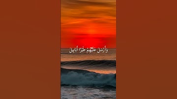 قرآن كريم سورة الفيل