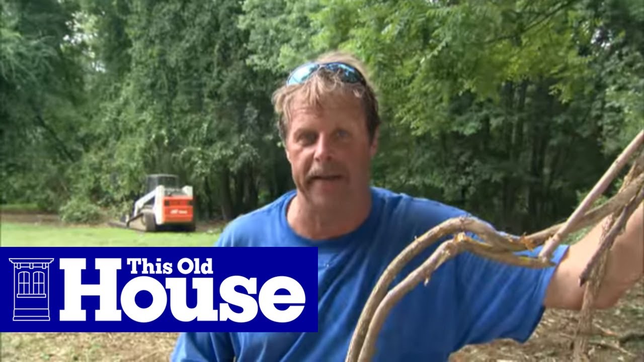 ask this old house videos Exclusive Preview of Vines Come Down, Walls Go Up! | Trade School | This Old House