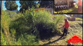 Even The Neighbors Told Us To Be Careful With This Extremely Overgrown Yard (big transformation)