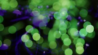 Worthing Light Festival 2017  filmed by Tony Day @ www.tonyday.tv