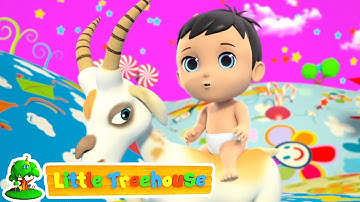 Hush Küçük Bebek | Çoçuk Şarkıları Türkçe | Little Treehouse Okul öncesi eğitim