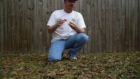 Scott Ellis-How to turkey call- yelping with the c...
