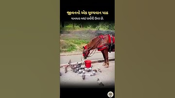 A Silent Act of Kindness ♥️ #motivation #hearttouching #viral #shorts #humanity #inspiration #video