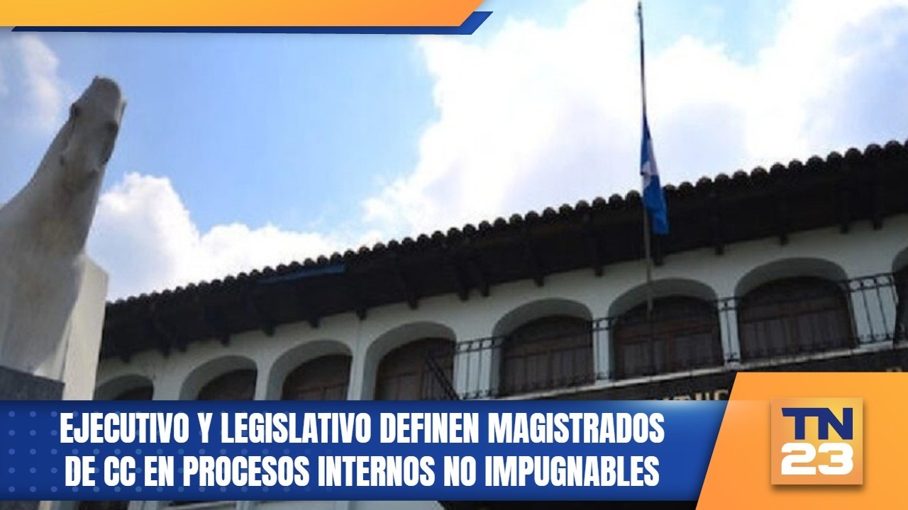 Ejecutivo y Legislativo definen magistrados de CC en procesos internos no impugnables