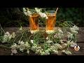 Yarrow syrup ( sirup od hajdučke trave)