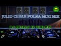 JULIO CESAR POLKA MINI MIX