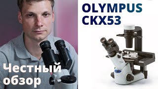 Olympus CKX53 - инвертированный микроскоп для живых (и не очень) клеток