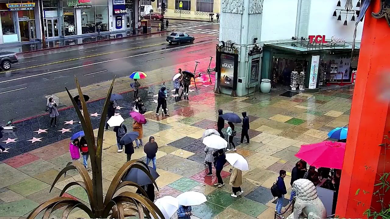 Hollywood LIVE!  YouTube