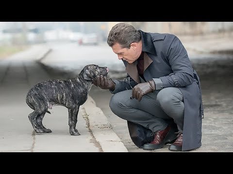Кадры из фильма Цепной пёс