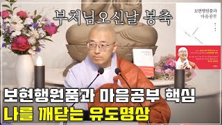 2024년 부처님오신날 봉축 법문, 자기를 깨닫는 유도명상, 보현행원품과 마음공부 핵심