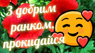 Добрий Ранок! ☕🌅 Українське привітання з Добрим Ранком