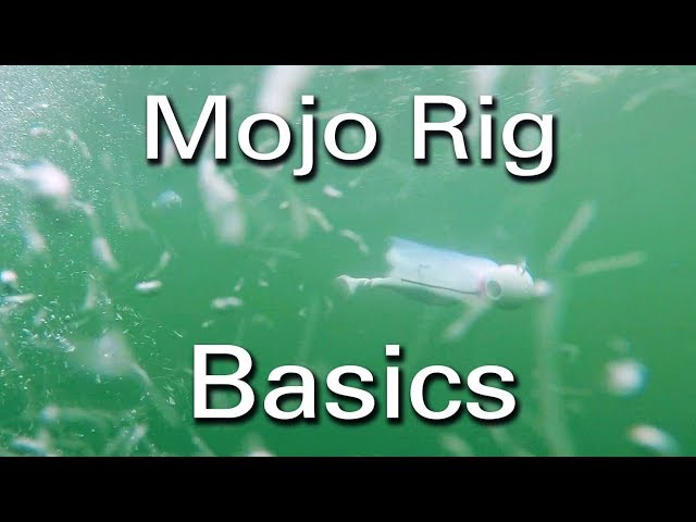 How to Troll Mojo Rigs for Striped Bass 