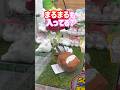 【サンリオ】シナモンのバッグ狙ってたらはなまるおばけも...！？　#sanrio #サンリオ #クレーンゲーム #shorts