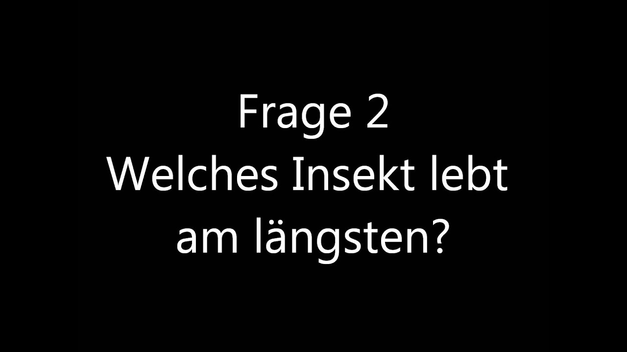 [Natur-Quiz] Frage 1-5 - ab 7 Jahre - Maultier, Insekten, Schlange