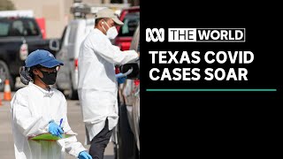 Coronavirus cases soar in Texas as US enters one of its busiest travel weeks of the year | The World