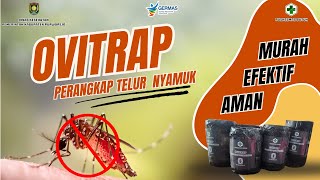 Ovitrap Perangkap Telur Nyamuk