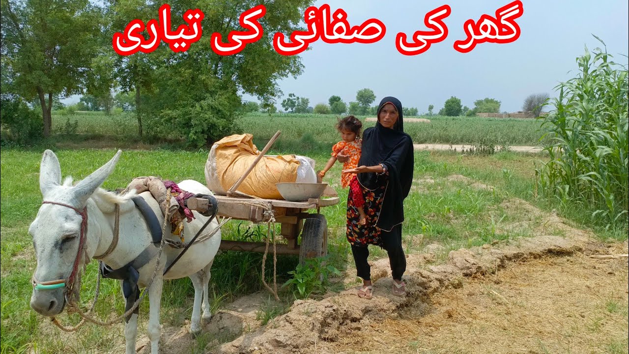 گھر کی صفائی کی تیاری شہباز ولیج لوگ 03324368935 - YouTube