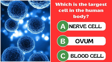 Top 50 Biology Questions with Answers | Science Quiz for All Competitive Exams