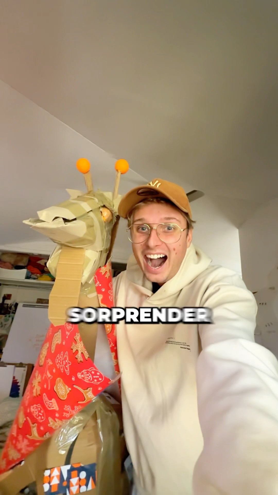 Envolvimos UNA JIRAFA para navidad!?? ??