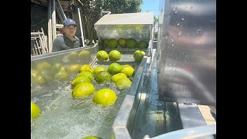 MÁY RỬA BƯỞI CÔNG NGHIỆP XUẤT KHẨU  + SIÊU THỊ - TEST DÂY CHUYỀN MÁY RỬA BƯỞI TẠI XƯỞNG THANH HƯNG