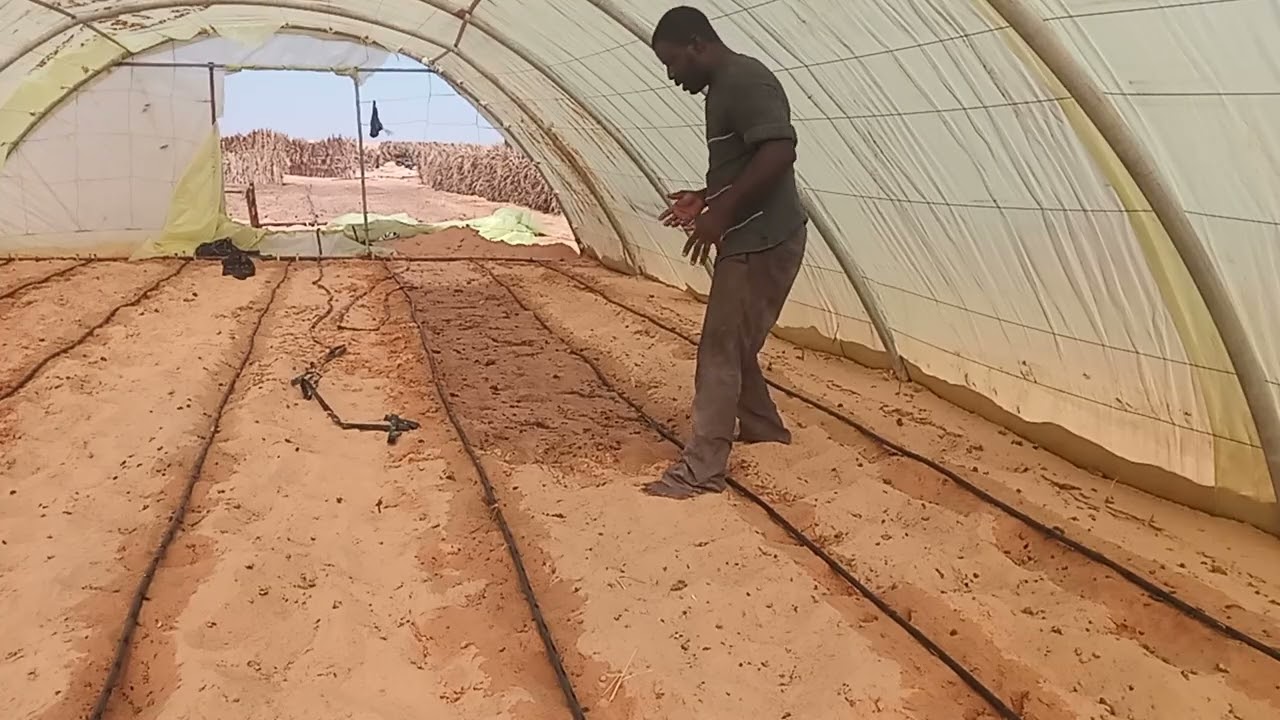 انشاء مشتل شتلات الشلاطة (الحلقة 3)