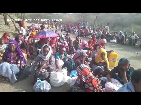 ቪዲዮ: የአልት ባላጂ ድር ተከታታይን የት ማውረድ ይቻላል?