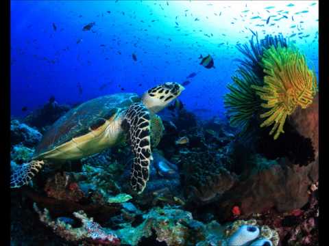 海・高田三郎／混声四部（MIDI）