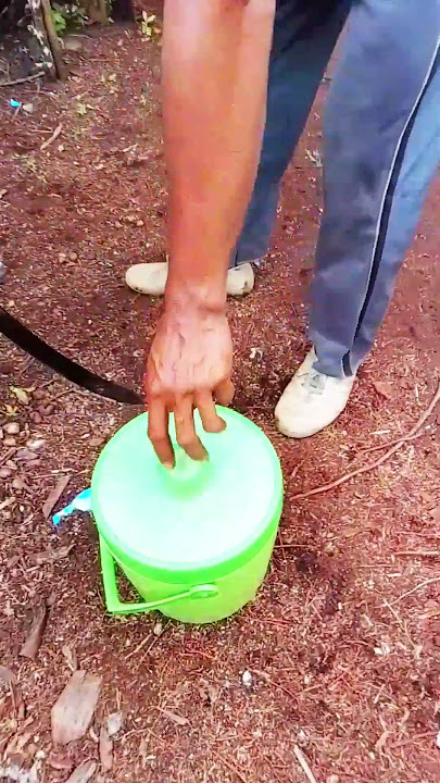 cerita manaiki niur handak maulah es niur anum#sorts #sorts #shortvideo